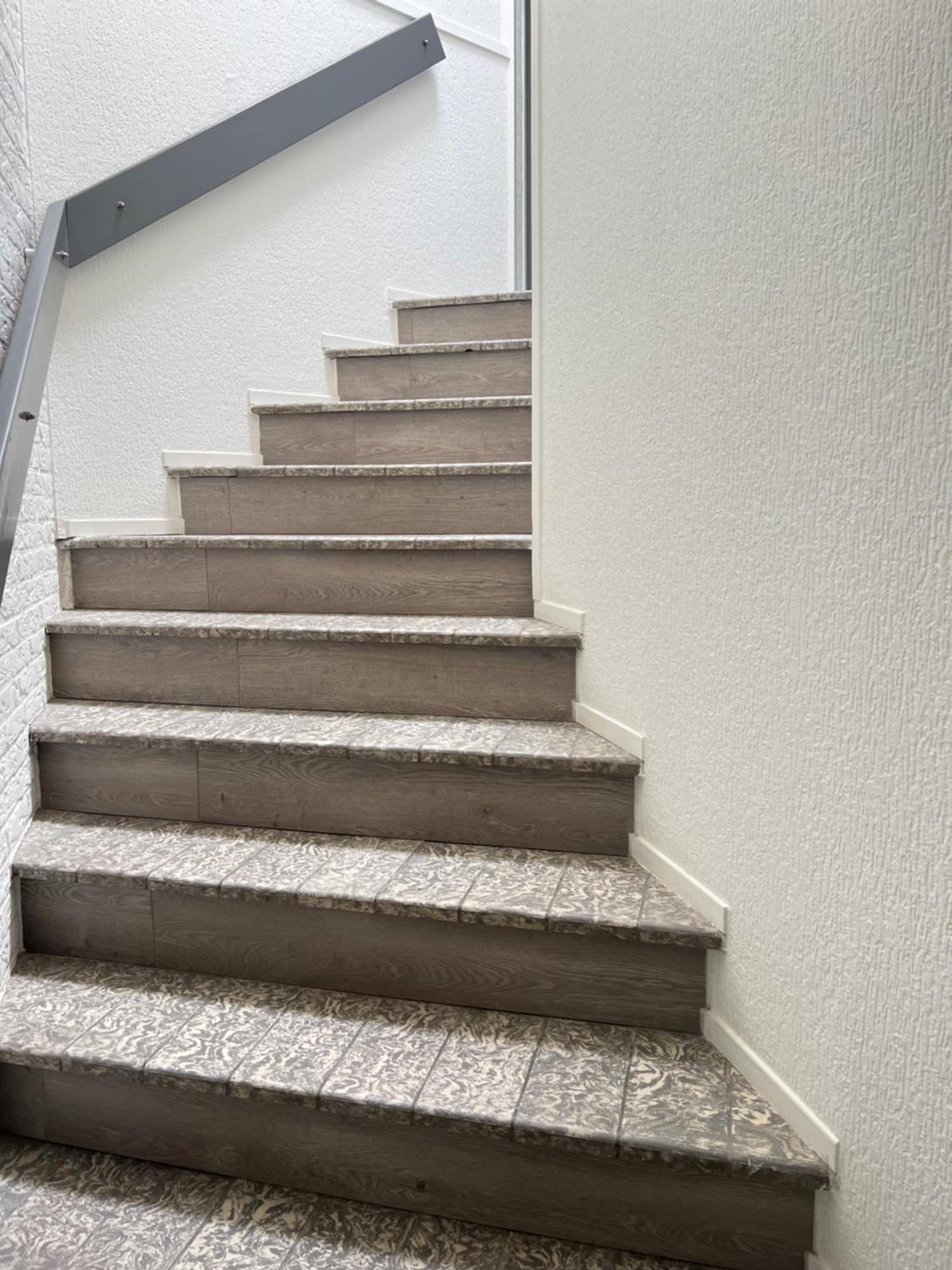 ברחן אן זיי Neptunus Appartementen מראה חיצוני תמונה