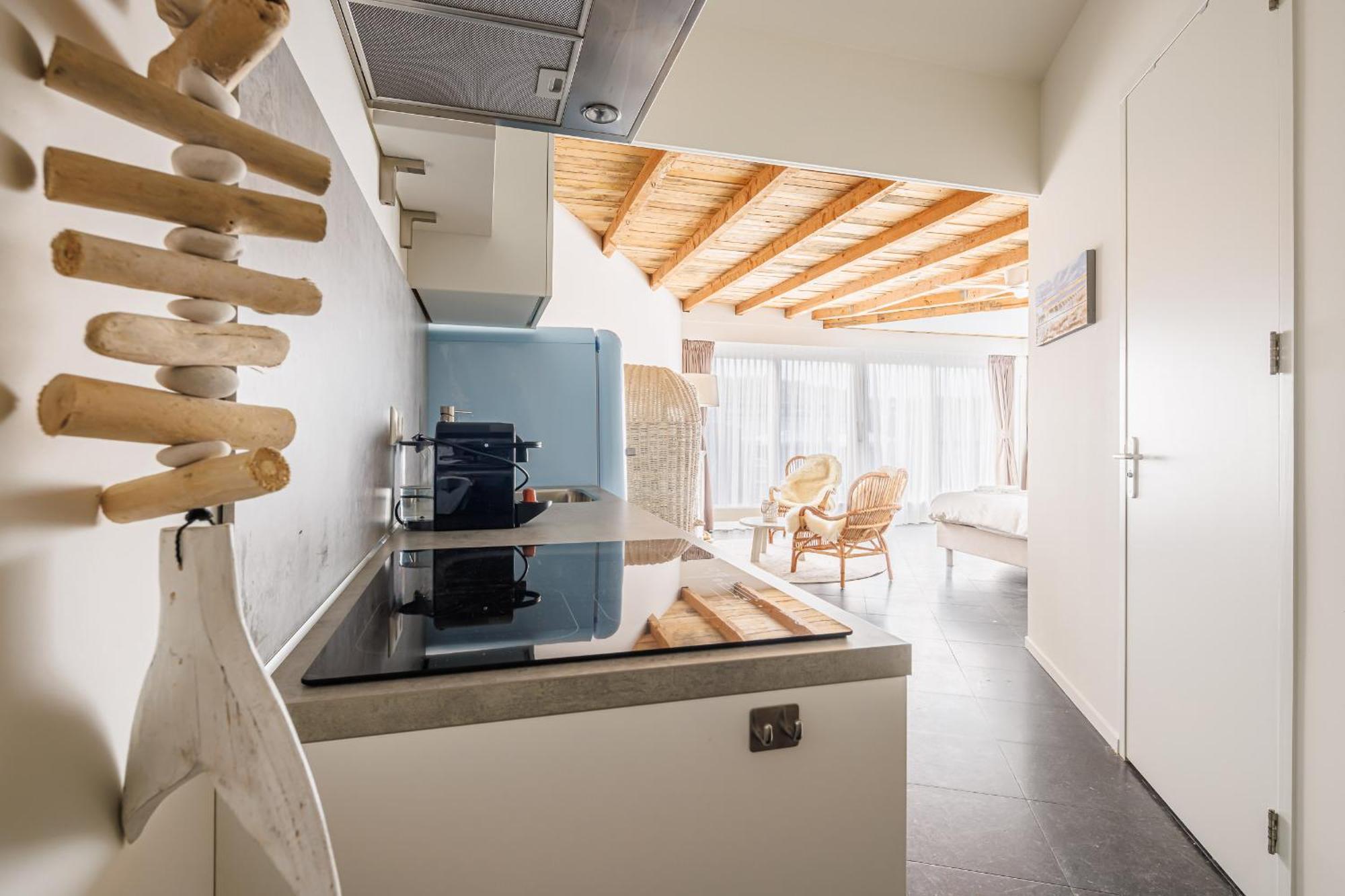 ברחן אן זיי Neptunus Appartementen חדר תמונה